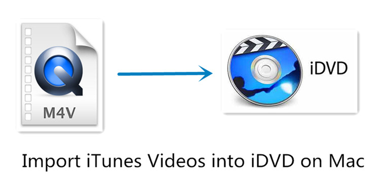 import iTunes videos into iDVD